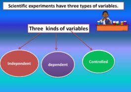 what are the 3 variables in a science experiment